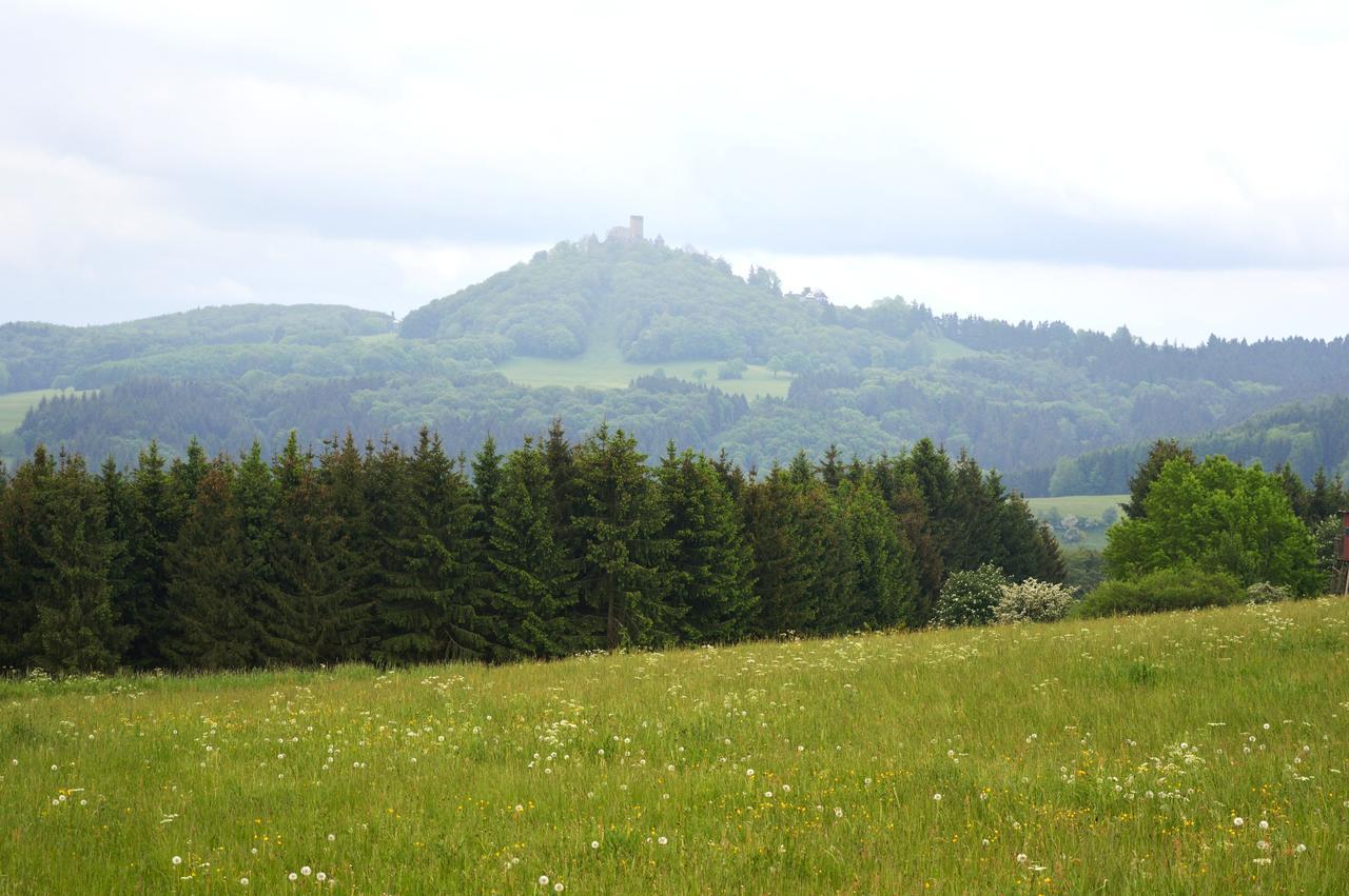 Bed and Breakfast Franky House Am Nuerburgring Quiddelbach Zewnętrze zdjęcie